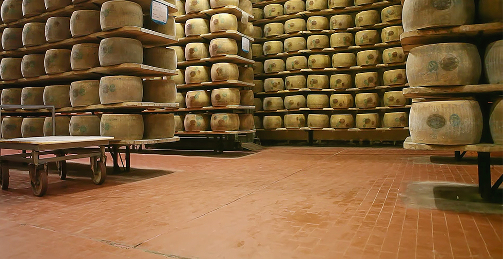 industrial flooring in dairy plant