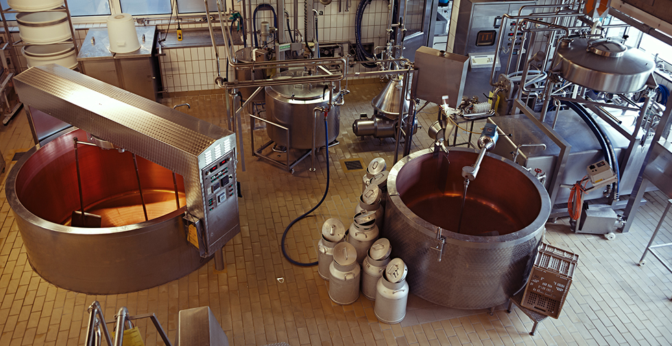 industrial flooring in dairy plant