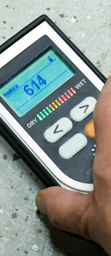 moisture testing and mitigation auto dealership